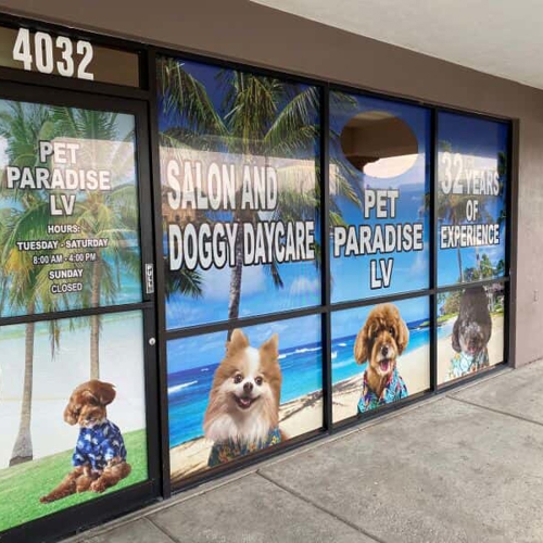 Window Graphics